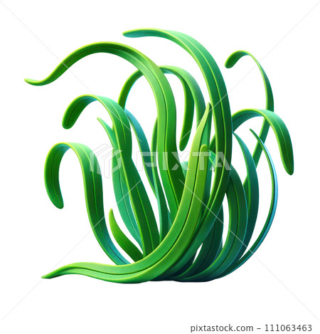 3d icon Eelgrass Isolated on white background,sea plant concept 111063463