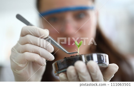 Girl with tongs touches young plant in flask Girl with tongs touches young plant in flask 111063501