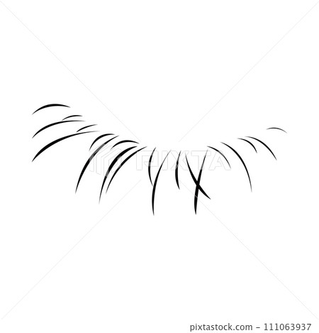 Vector illustration of false eyelashes 111063937