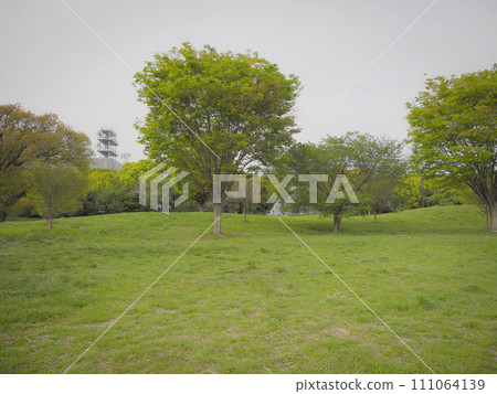 A park with lots of trees and grass. 111064139