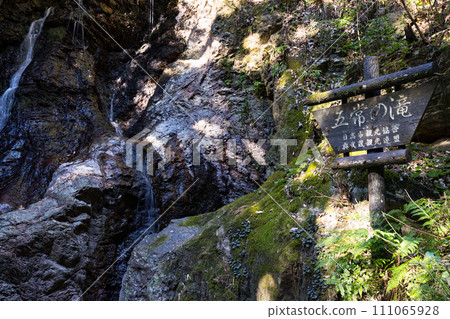 埼玉縣日高市五大瀑布 111065928