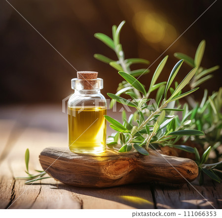 Fresh tea tree twig and essential oil in a glass container, on the wooden board. Fresh tea tree twig and essential oil in a glass container, on the wooden board. 111066353