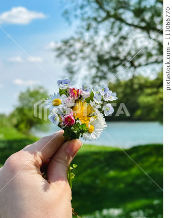 a small bouquet of wildflowers in the hands against the background of the river a small bouquet of wildflowers in the hands against the background of the river 111066770