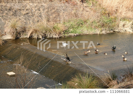 都齊聚一堂! !! 都齊聚一堂! !! 111066881