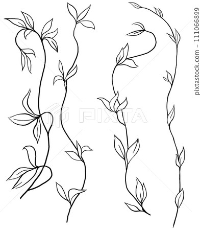 Hand drawn twigs with leaves, black outlines, isolated illustration, wedding stationery element 111066899