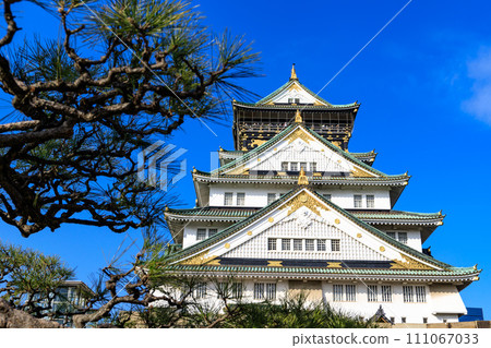Osaka Castle Osaka Castle 111067033
