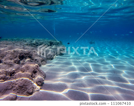 Underwater life of reef with corals and tropical fish. Coral Reef at the Red Sea, Egypt. 111067410
