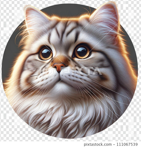 Cutout of a staring cat Cutout of a staring cat 111067539