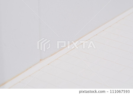 Dirt in the bathroom Pink mold on the gasket 111067593