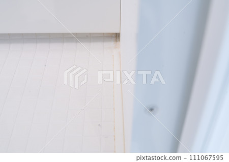 Dirt in the bathroom Pink mold on the gasket 111067595