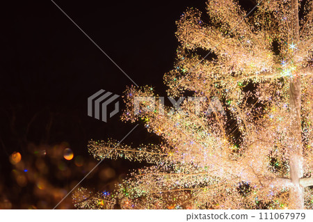 箱根的聖誕彩燈 箱根的聖誕彩燈 111067979