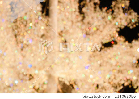 Christmas illuminations in Hakone 111068090