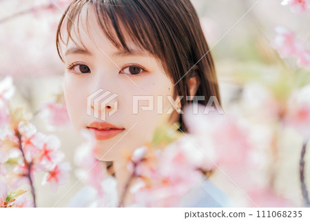 女性美容櫻花 111068235