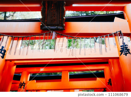 Fushimi-Inari Taisha神社在京都 Fushimi-Inari Taisha神社在京都 111068679