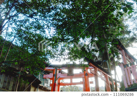 Morning visit to Fushimi Inari Taisha Shrine in Kyoto Morning visit to Fushimi Inari Taisha Shrine in Kyoto 111069286
