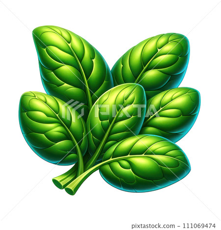 Spinach Isolated on white background, 3d style 111069474