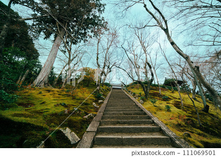 京都寺院庭園 京都寺院庭園 111069501