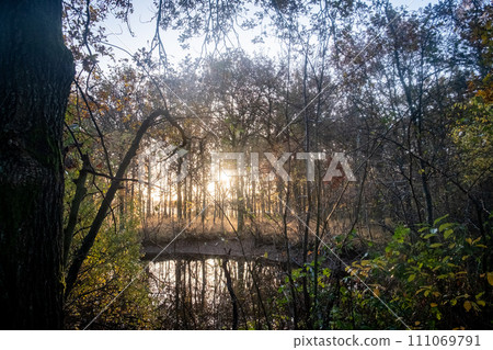 Dawn's Embrace by the Forest Pond Dawn's Embrace by the Forest Pond 111069791