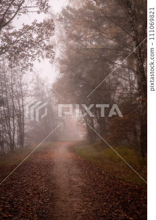 Autumn Haze: The Mysterious Forest Road 111069821