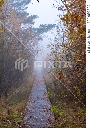 Misty Pathway: Autumn's Fade into Winter 111069822