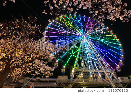 燈光摩天輪夜櫻花 111070110