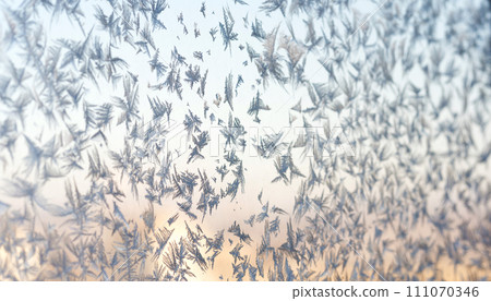 Sunset Frost Feathers 111070346