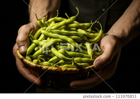 Hands of man holding bunch of homegrown bush bean Hands of man holding bunch of homegrown bush bean 111070851