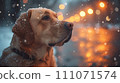 [AI generated image/AI illustration] A cold winter town and a dog waiting for its master 111071574