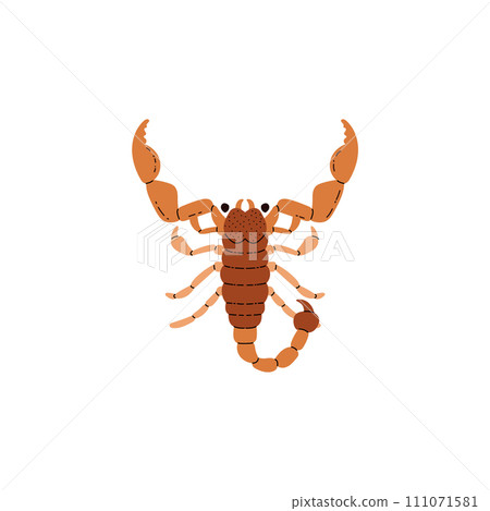 Scorpion deserted animal flat style, vector illustration 111071581