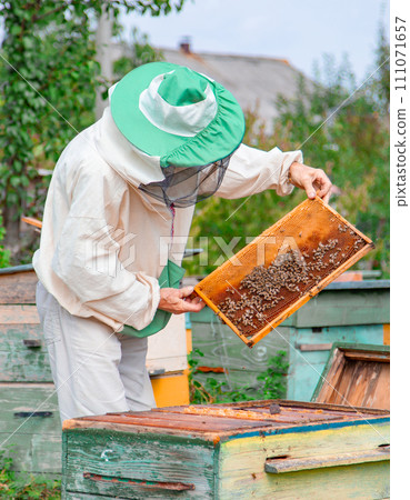 Male beekeeper holding a frame with honeycombs over a beehive in the garden, taking care of bees, veterinary care and treatment of dangerous bee diseases. 111071657