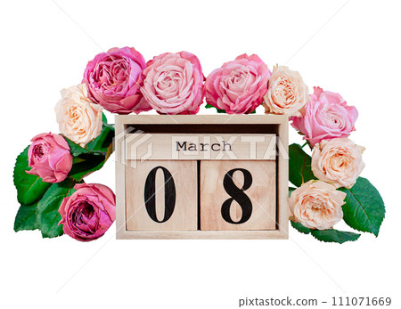 Beautiful pink roses and wooden calendar on isolated white background. The concept of women's day March 8. Beautiful pink roses and wooden calendar on isolated white background. The concept of women's day March 8. 111071669