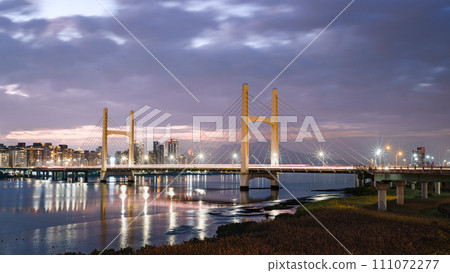 重陽大橋 夜景 橋 111072277