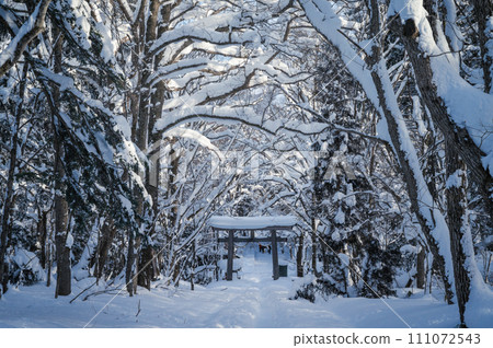 神社被大雪覆蓋 111072543