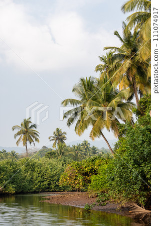 Landscape with palm trees and mangroves 111074917