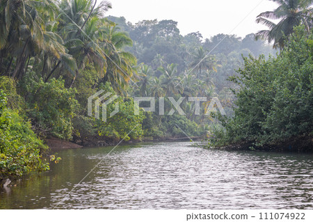 Landscape with palm trees and mangroves 111074922