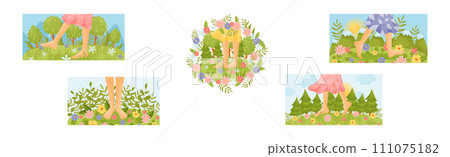 Green Meadow with Bare Foot Walking on Grass Vector Set 111075182