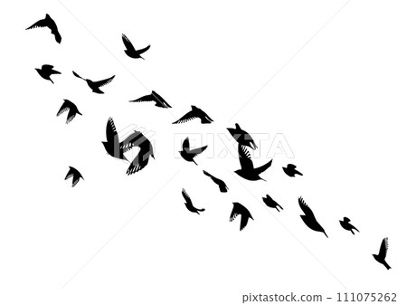 Flying birds silhouette flock. hand drawing. Not AI. Vector illustration 111075262