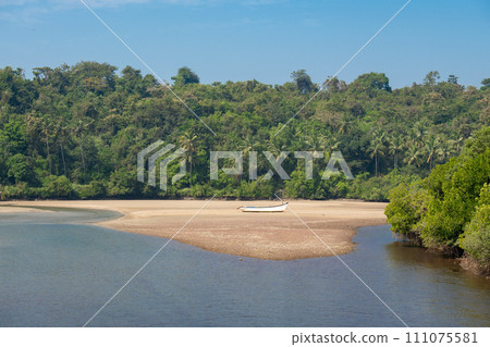 Riverside landscape with palm trees and mangroves 111075581