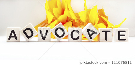 The word ADVOCATE made from building blocks on a light background with foliage The word ADVOCATE made from building blocks on a light background with foliage 111076811