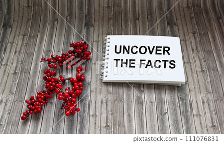 Text sign Reveal the facts on notepad and wooden background. 111076831