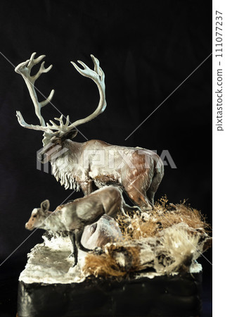 reindeer in the dark 111077237