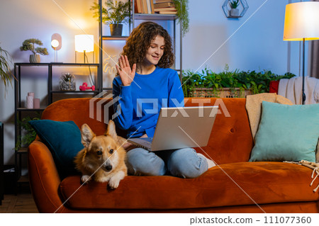 Happy woman opening laptop and working remotely sitting beside corgi dog on sofa at home room Happy woman opening laptop and working remotely sitting beside corgi dog on sofa at home room 111077360