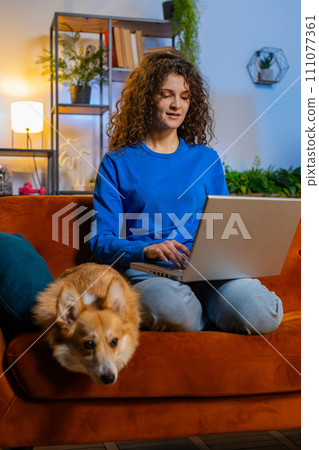Happy woman opening laptop and working remotely sitting beside corgi dog on sofa at home room Happy woman opening laptop and working remotely sitting beside corgi dog on sofa at home room 111077361