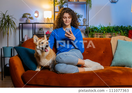 Happy young woman sitting on sofa using smartphone text messaging beside corgi dog at home room Happy young woman sitting on sofa using smartphone text messaging beside corgi dog at home room 111077363