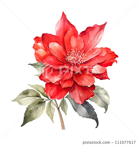 Floral painting. Beautiful flowers illustration. 111077817