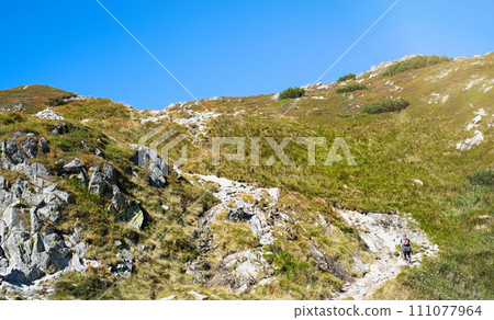 A hiking trail with the beautifull sunny weather in Slovakia 111077964