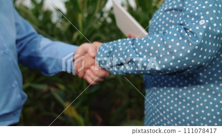 agriculture, farmers handshake field, business corn farm, farmer working tablet with partner, business handshake, organic, kernels, walking, country, finger sapling, agriculture, information, laughing 111078417