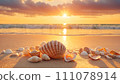 Ocean sunset: seashells on sandy shore 111078914