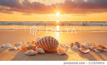 Ocean sunset: seashells on sandy shore Ocean sunset: seashells on sandy shore 111078914
