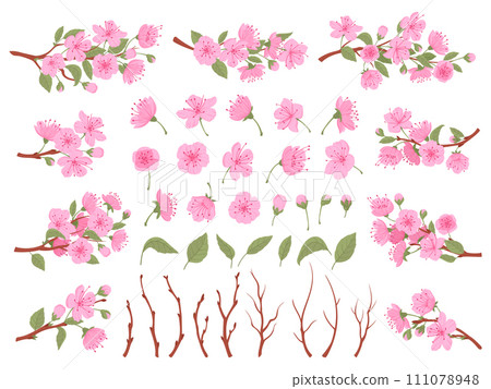 Cherry blossom set. Sakura blooming branches, spring japanese cherry tree leaves, flowers and buds flat vector illustration collection. Traditional asian blooming flora 111078948